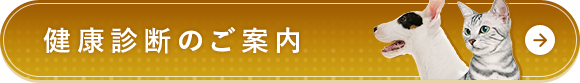 健康診断のご案内